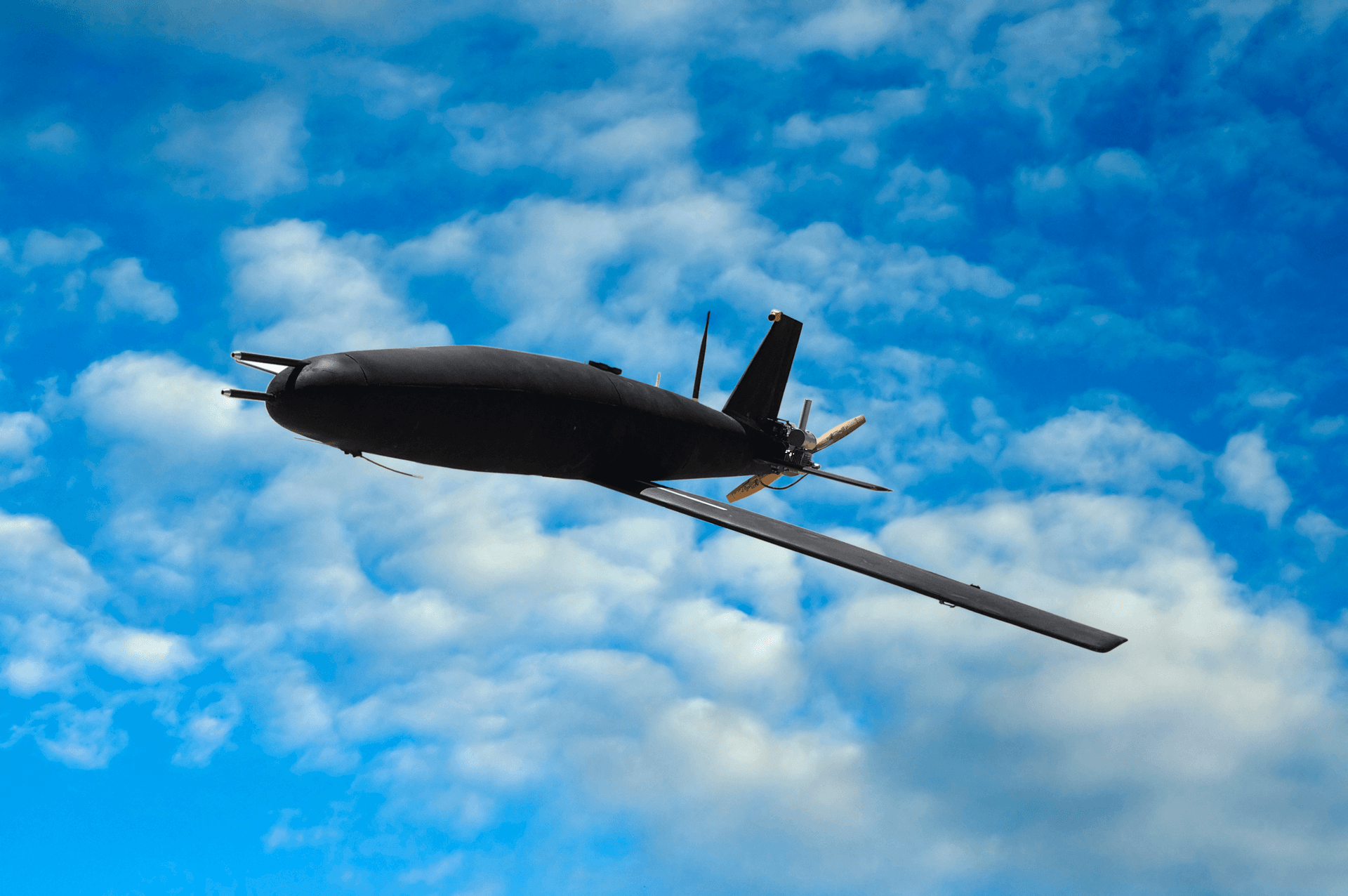 CNG-V UAV